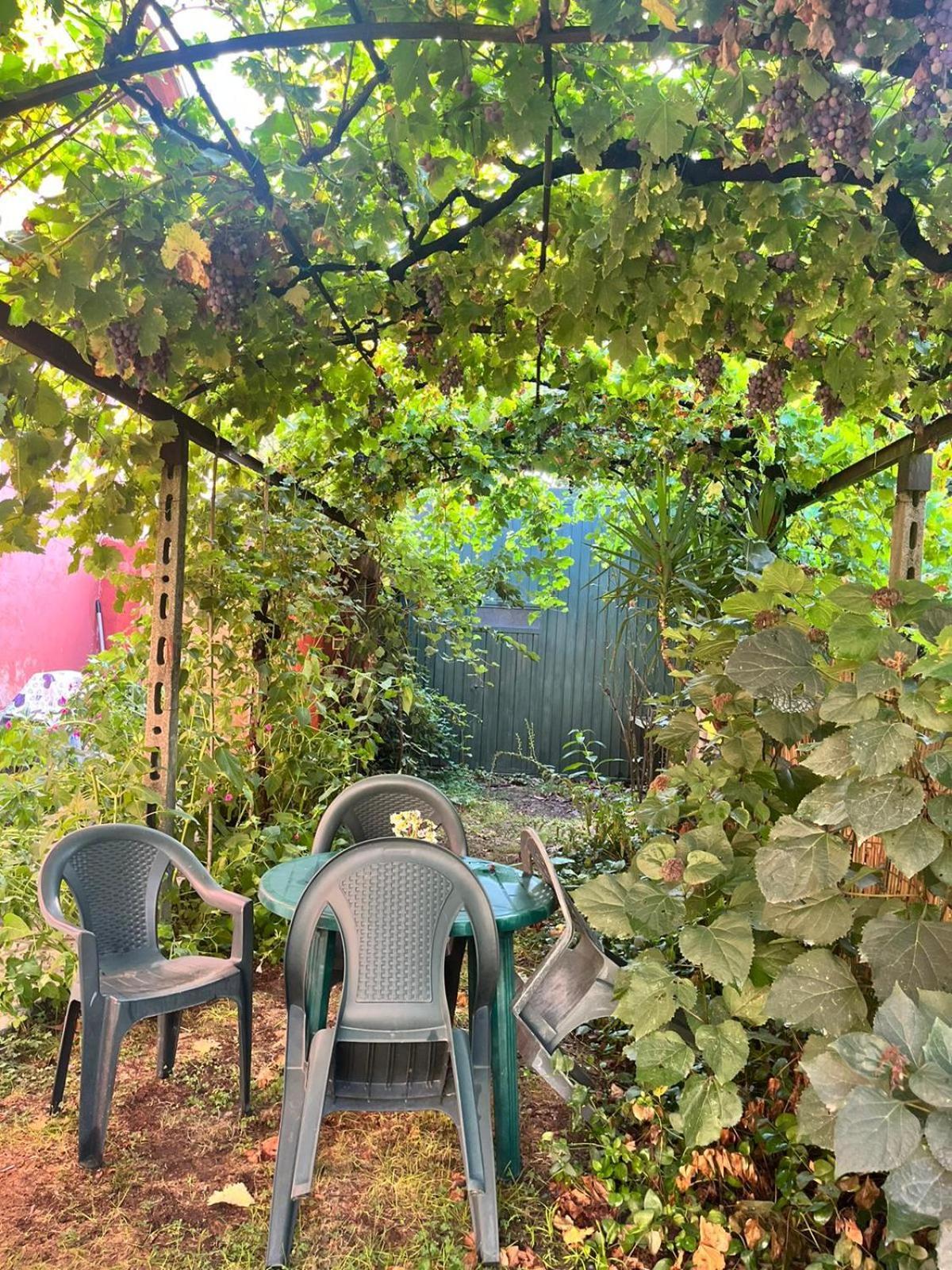 Apartmán Bella Di Notte San Giorgio a Liri Exteriér fotografie